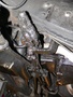 p1170284.jpg