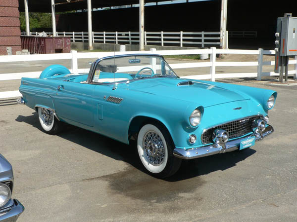 1956_Thunderbird-1