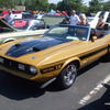 1971 Ford Mustang Shelby